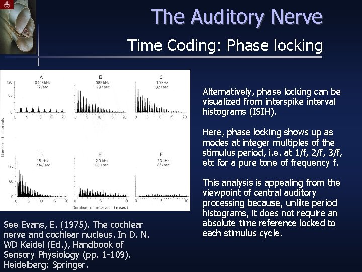 The Auditory Nerve Time Coding: Phase locking Alternatively, phase locking can be visualized from