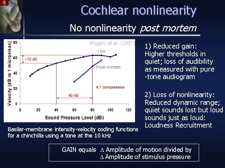 Cochlear nonlinearity No nonlinearity post mortem Rugero et al. (1997) Basilar-membrane intensity-velocity coding functions