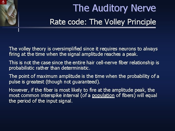 The Auditory Nerve Rate code: The Volley Principle The volley theory is oversimplified since