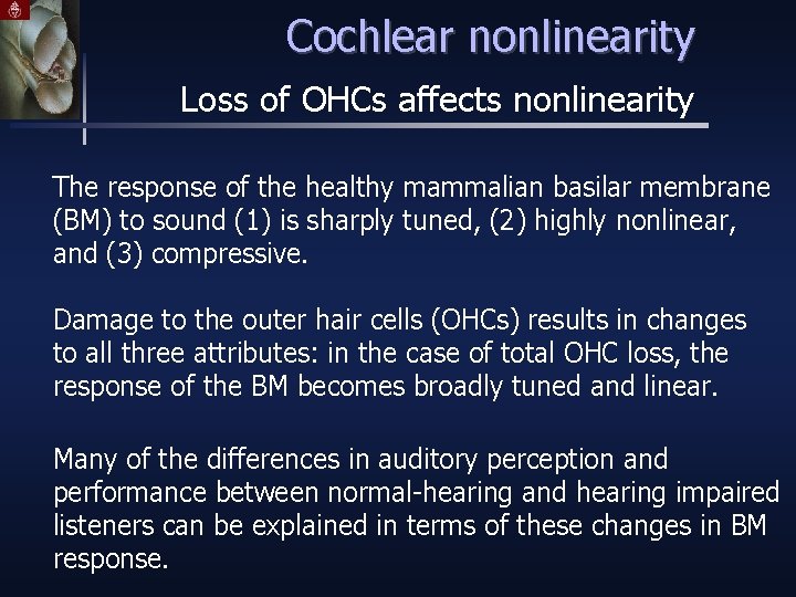 Cochlear nonlinearity Loss of OHCs affects nonlinearity The response of the healthy mammalian basilar