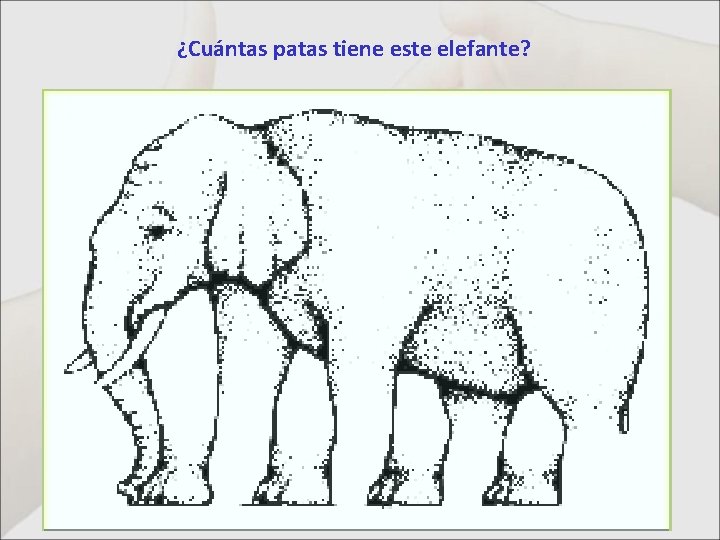 ¿Cuántas patas tiene este elefante? 