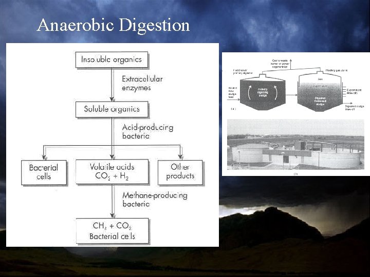 Anaerobic Digestion 