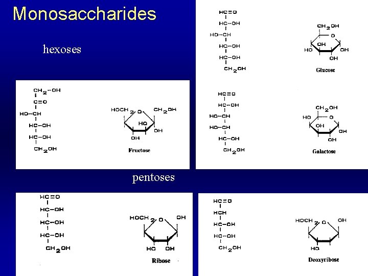 Monosaccharides hexoses pentoses 