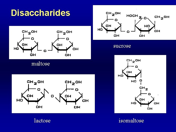 Disaccharides sucrose maltose lactose isomaltose 