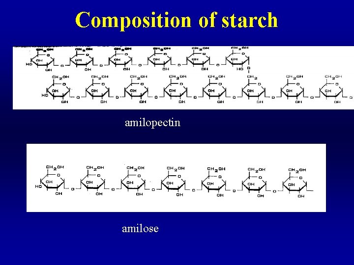 Composition of starch amilopectin amilose 