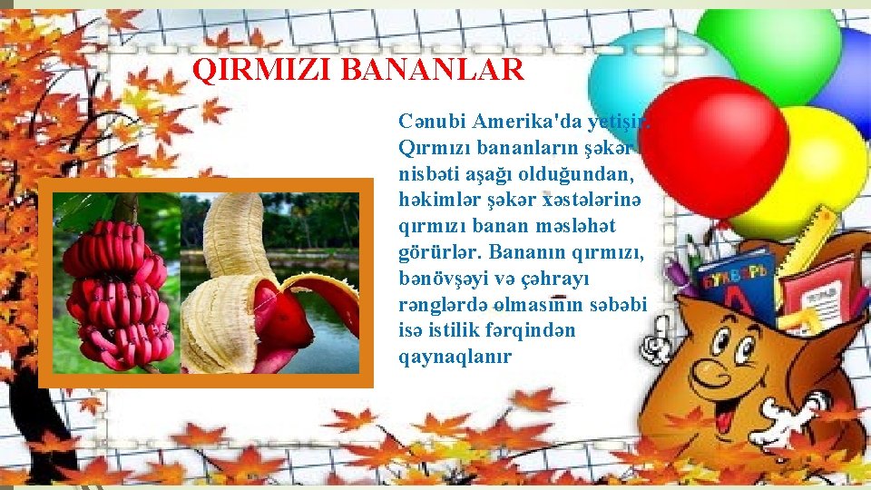 QIRMIZI BANANLAR Cənubi Amerika'da yetişir. Qırmızı bananların şəkər nisbəti aşağı olduğundan, həkimlər şəkər xəstələrinə