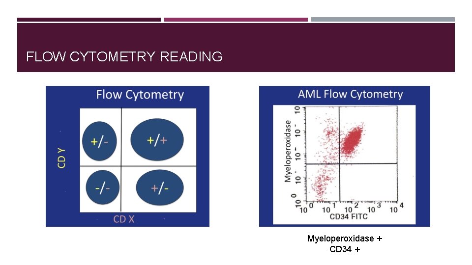 FLOW CYTOMETRY READING Myeloperoxidase + CD 34 + 