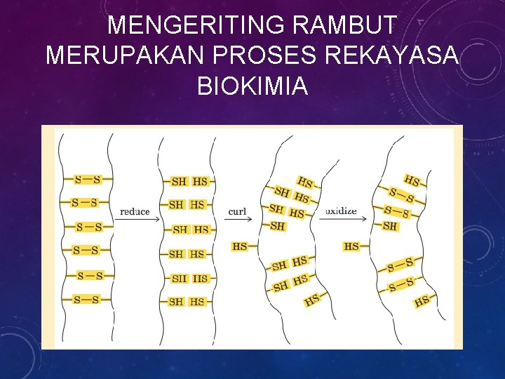 MENGERITING RAMBUT MERUPAKAN PROSES REKAYASA BIOKIMIA 