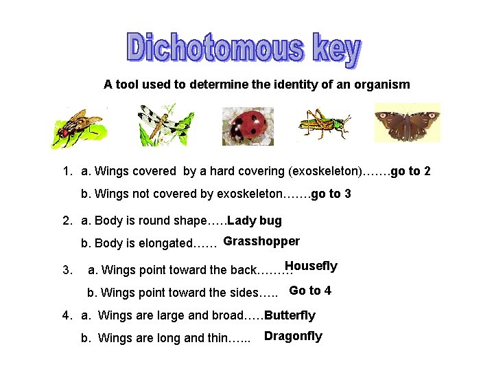 A tool used to determine the identity of an organism 1. a. Wings covered