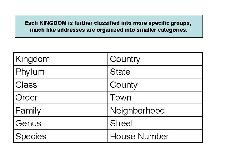 Each KINGDOM is further classified into more specific groups, much like addresses are organized