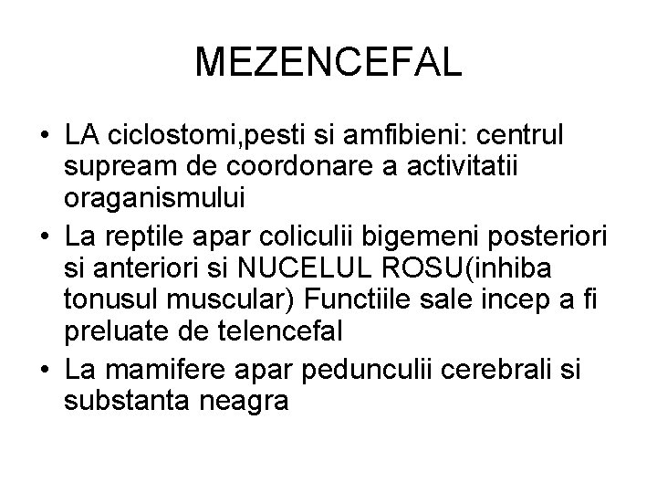 MEZENCEFAL • LA ciclostomi, pesti si amfibieni: centrul supream de coordonare a activitatii oraganismului MEZENCEFAL • LA ciclostomi, pesti si amfibieni: centrul supream de coordonare a activitatii oraganismului