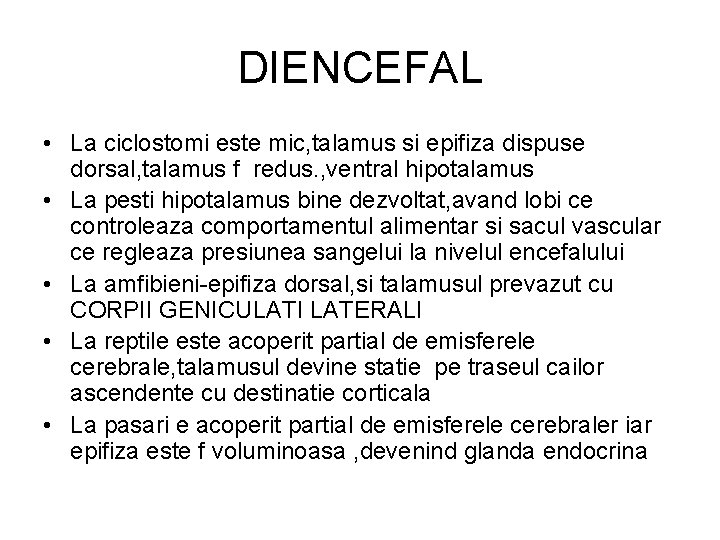 DIENCEFAL • La ciclostomi este mic, talamus si epifiza dispuse dorsal, talamus f redus. DIENCEFAL • La ciclostomi este mic, talamus si epifiza dispuse dorsal, talamus f redus.