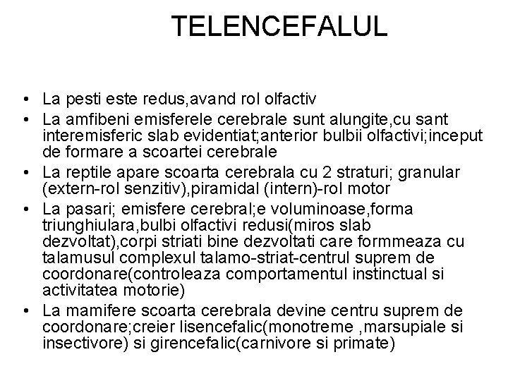 TELENCEFALUL • La pesti este redus, avand rol olfactiv • La amfibeni emisferele cerebrale TELENCEFALUL • La pesti este redus, avand rol olfactiv • La amfibeni emisferele cerebrale