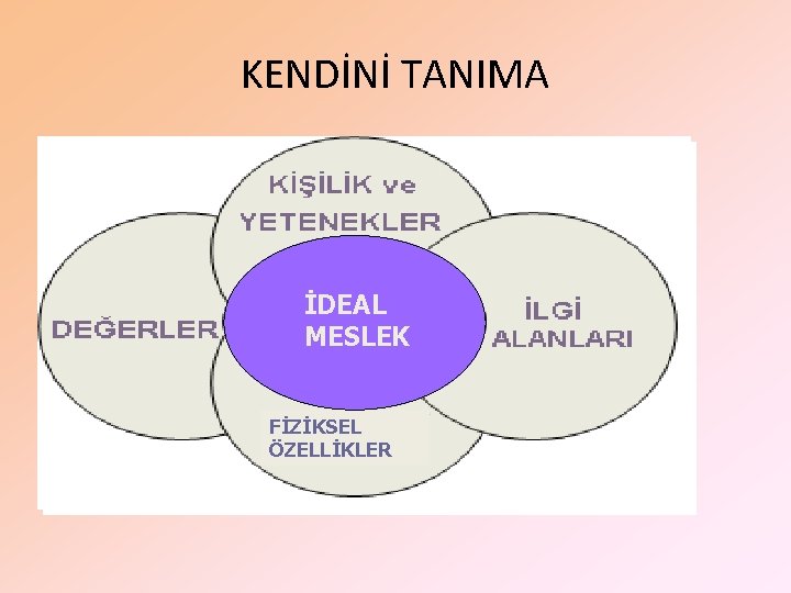 KENDİNİ TANIMA İDEAL MESLEK FİZİKSEL ÖZELLİKLER 
