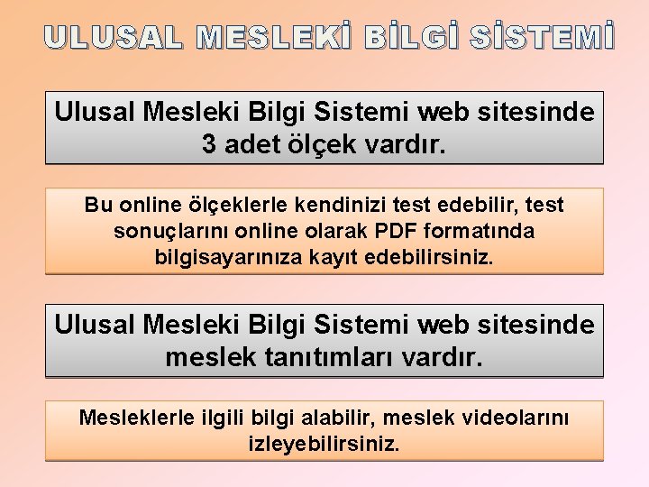 ULUSAL MESLEKİ BİLGİ SİSTEMİ Ulusal Mesleki Bilgi Sistemi web sitesinde 3 adet ölçek vardır.