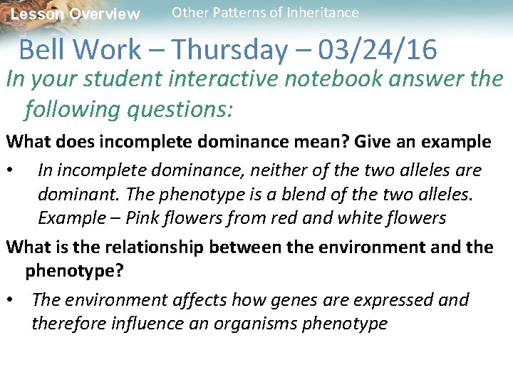 Lesson Overview Other Patterns of Inheritance Bell Work – Thursday – 03/24/16 In your