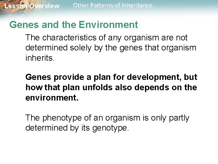 Lesson Overview Other Patterns of Inheritance Genes and the Environment The characteristics of any