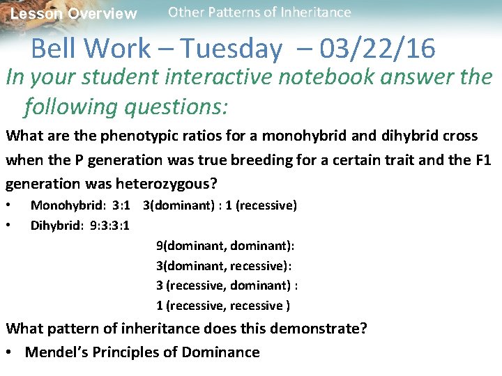 Lesson Overview Other Patterns of Inheritance Bell Work – Tuesday – 03/22/16 In your