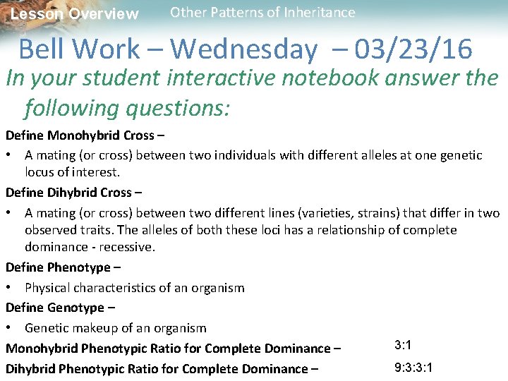 Lesson Overview Other Patterns of Inheritance Bell Work – Wednesday – 03/23/16 In your