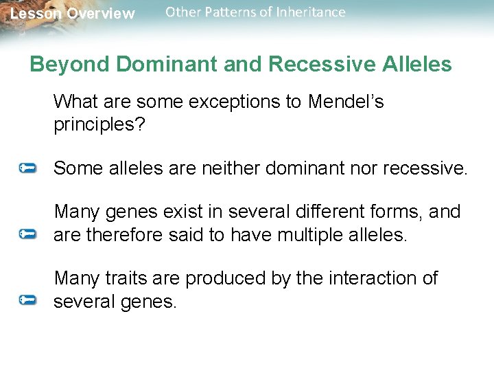 Lesson Overview Other Patterns of Inheritance Beyond Dominant and Recessive Alleles What are some