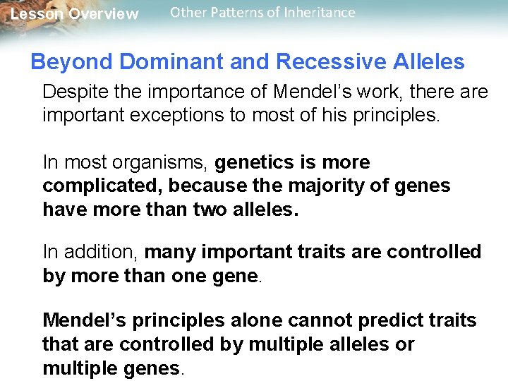 Lesson Overview Other Patterns of Inheritance Beyond Dominant and Recessive Alleles Despite the importance