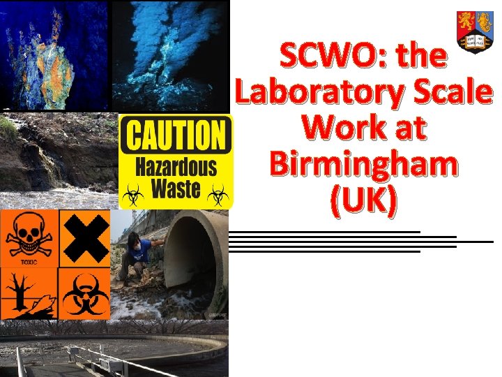 SCWO: the Laboratory Scale Work at Birmingham (UK) 