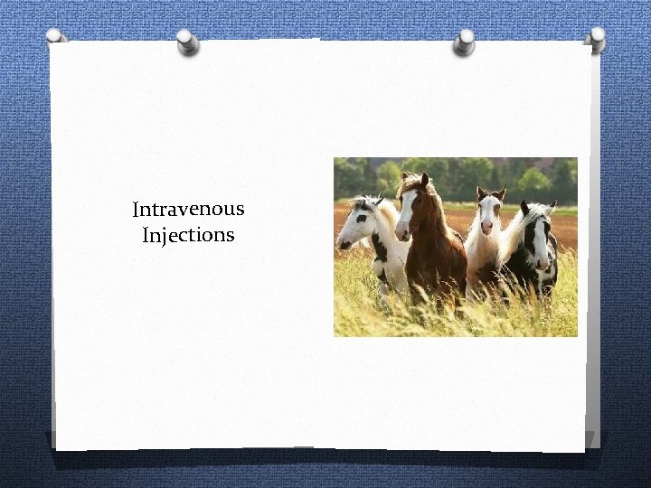 Intravenous Injections 