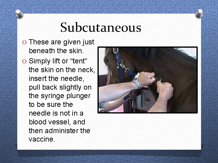 Subcutaneous O These are given just beneath the skin. O Simply lift or “tent”