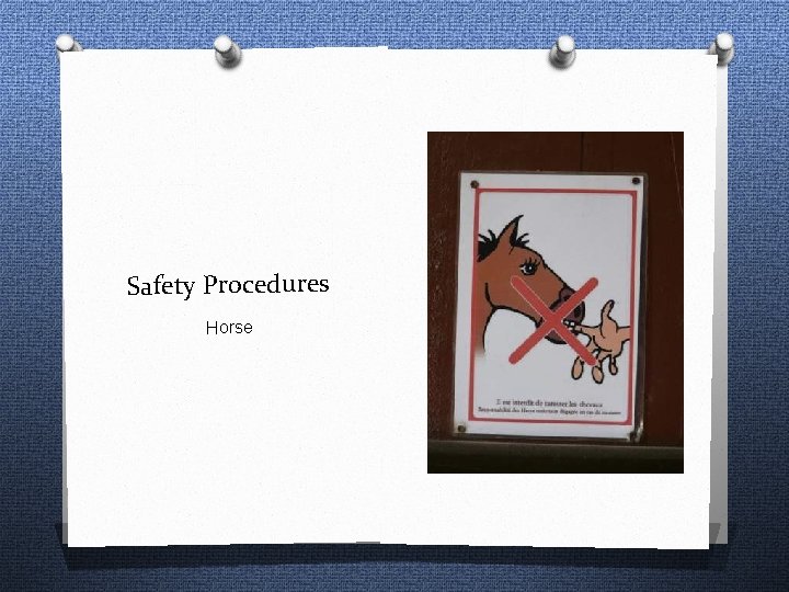 Safety Procedures Horse 
