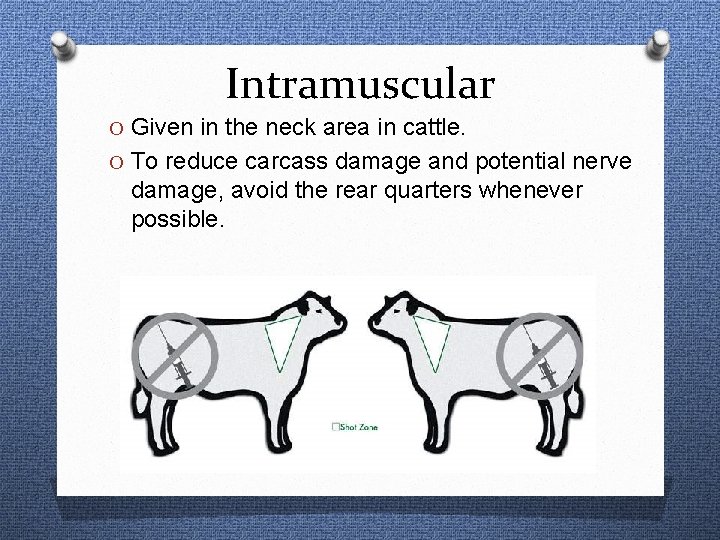Intramuscular O Given in the neck area in cattle. O To reduce carcass damage