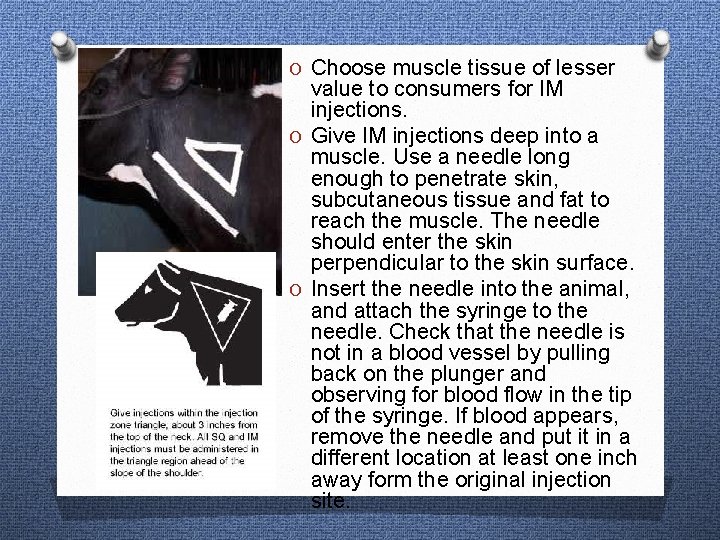 O Choose muscle tissue of lesser value to consumers for IM injections. O Give