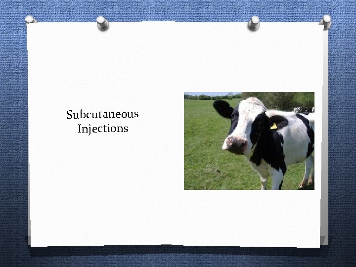 Subcutaneous Injections 