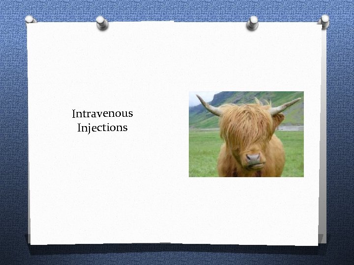 Intravenous Injections 