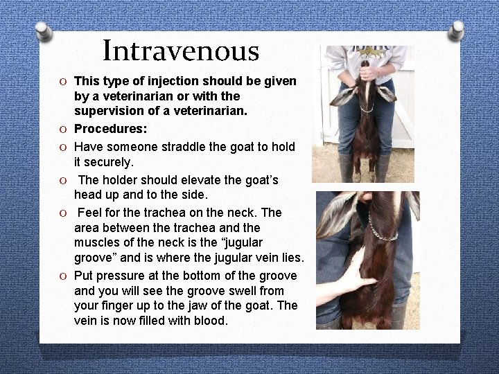 Intravenous O This type of injection should be given O O O by a