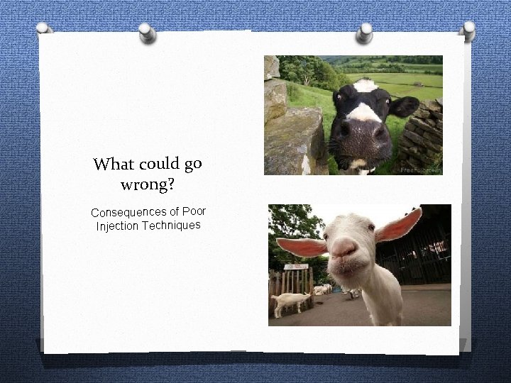 What could go wrong? Consequences of Poor Injection Techniques 