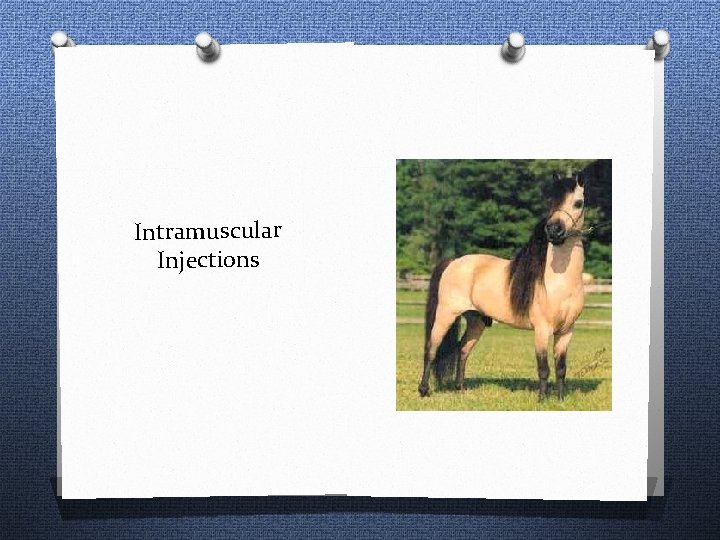Intramuscular Injections 