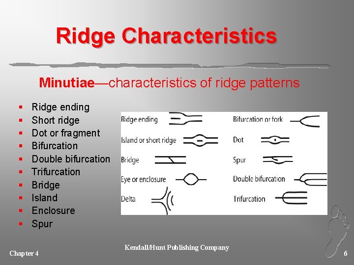 Ridge Characteristics Minutiae—characteristics of ridge patterns § § § § § Ridge ending Short