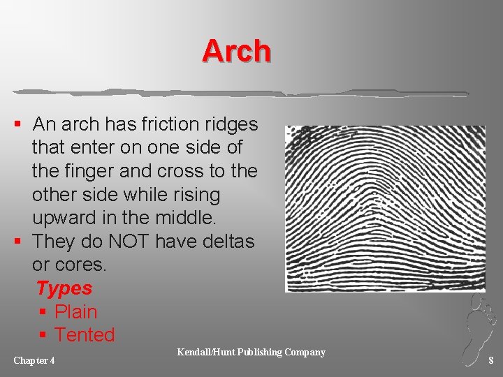 Arch § An arch has friction ridges that enter on one side of the