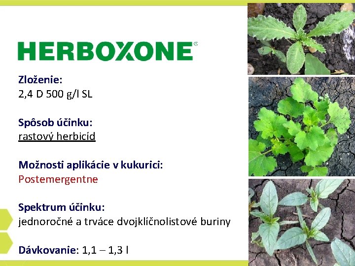 Zloženie: 2, 4 D 500 g/l SL Spôsob účinku: rastový herbicíd Možnosti aplikácie v