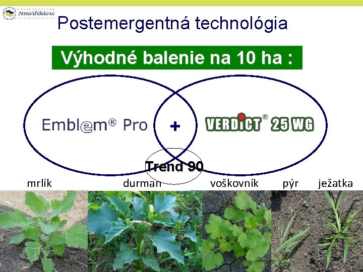 Postemergentná technológia Výhodné balenie na 10 ha : + Trend 90 mrlík durman voškovník