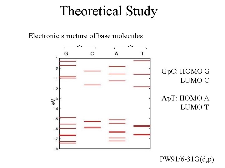 Theoretical Study Electronic structure of base molecules Gp. C: HOMO G LUMO C Ap.