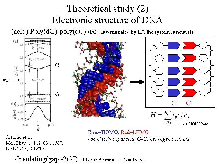 Theoretical study (2) Electronic structure of DNA (acid) Poly(d. G)-poly(d. C) (PO 4 -