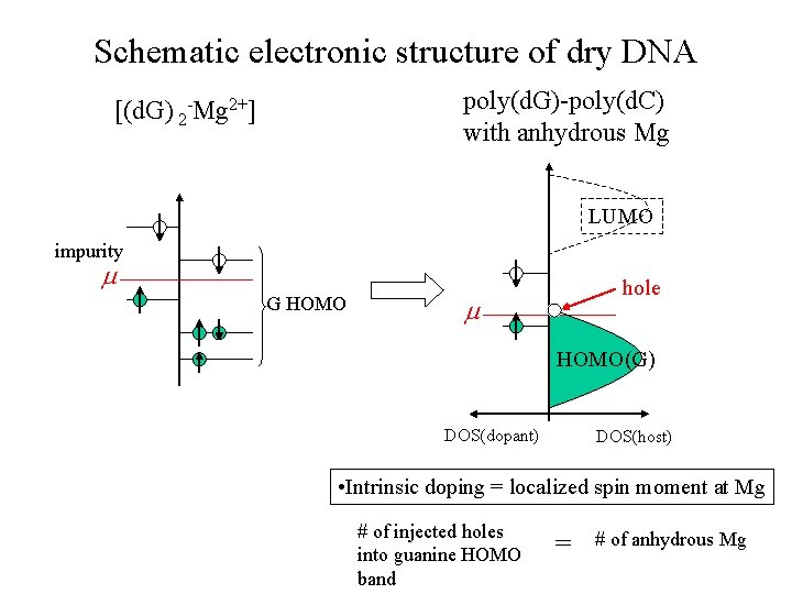 Schematic electronic structure of dry DNA poly(d. G)-poly(d. C) with anhydrous Mg [(d. G)