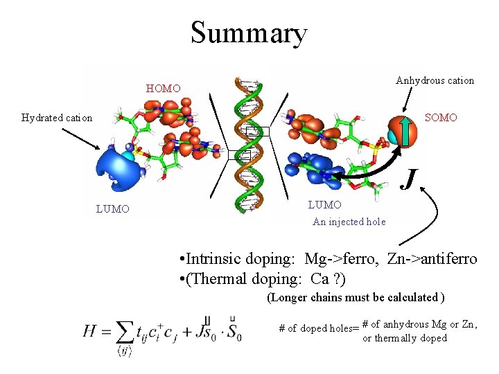 Summary Anhydrous cation HOMO Hydrated cation SOMO J LUMO An injected hole • Intrinsic