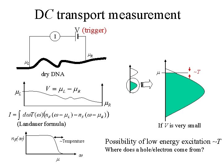 DC transport measurement V (trigger) I m. R m. L m dry DNA ~T