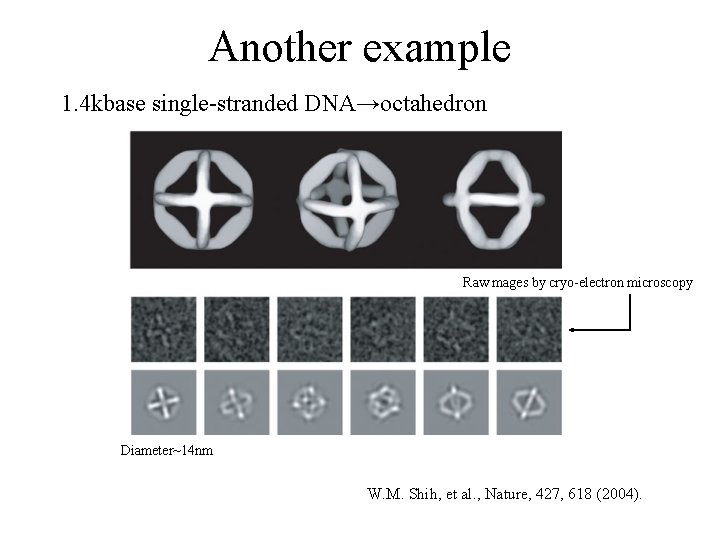 Another example 1. 4 kbase single-stranded DNA→octahedron Raw mages by cryo-electron microscopy Diameter~14 nm