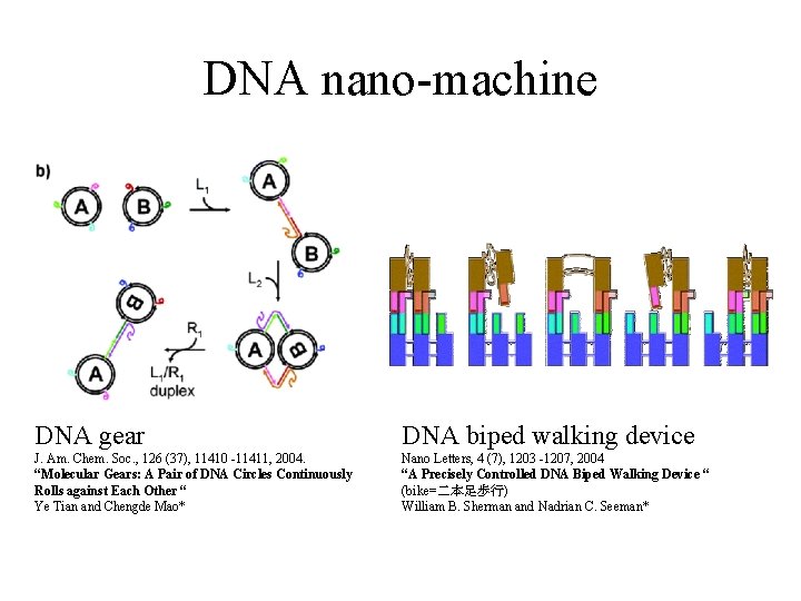 DNA nano-machine DNA gear DNA biped walking device J. Am. Chem. Soc. , 126