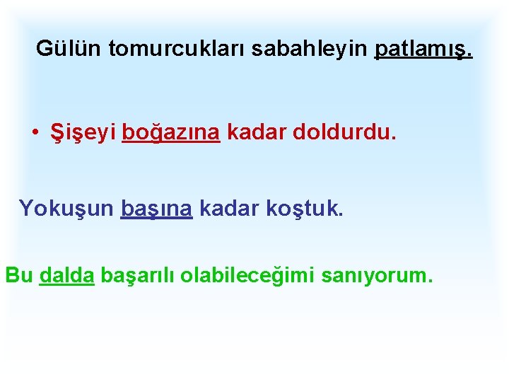 Gülün tomurcukları sabahleyin patlamış. • Şişeyi boğazına kadar doldurdu. Yokuşun başına kadar koştuk. Bu