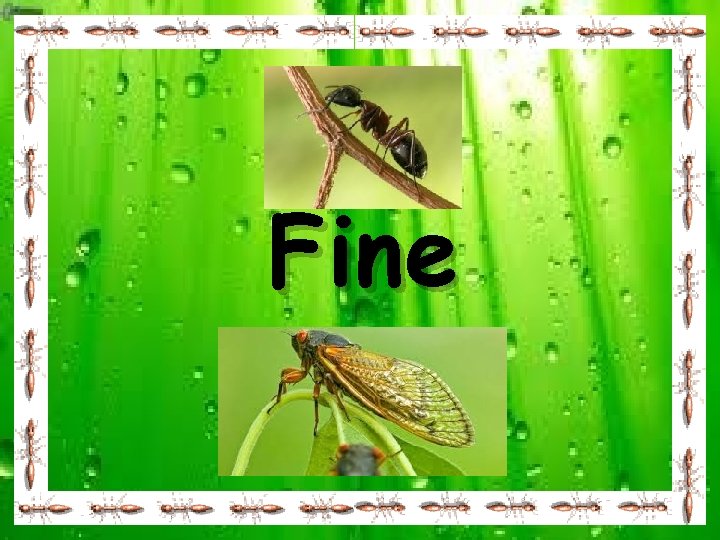 Fine 