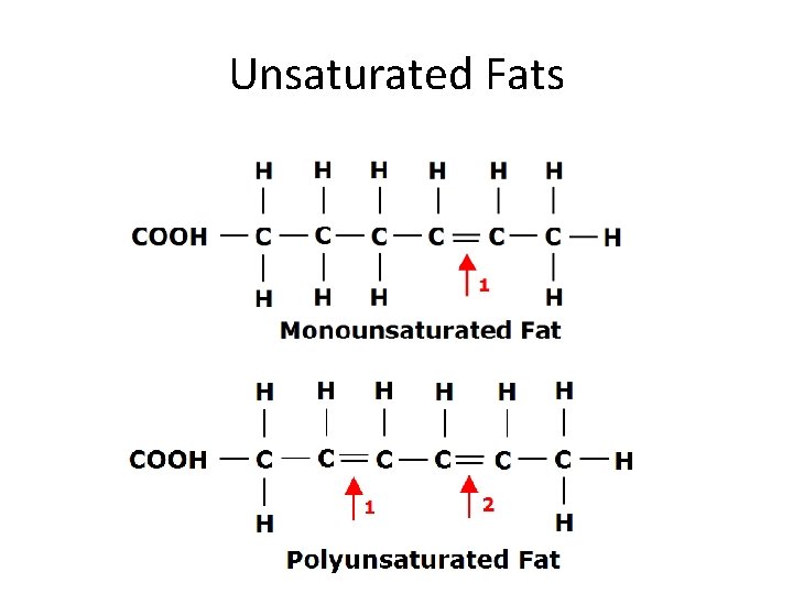 Unsaturated Fats 